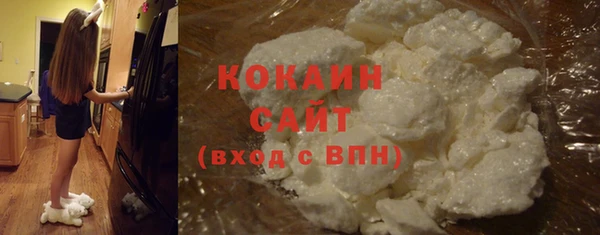 стаф Арсеньев