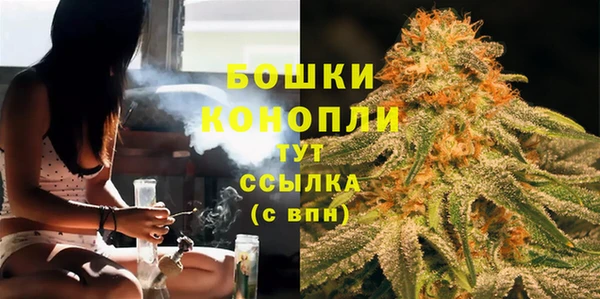 амф Аркадак