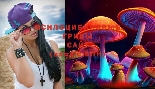 стаф Арсеньев