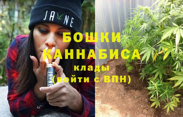 амф Аркадак