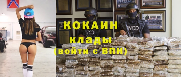 стаф Арсеньев