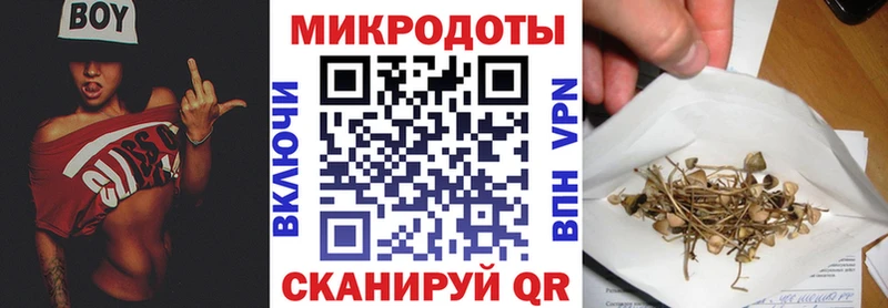 Галлюциногенные грибы мицелий купить Балашов